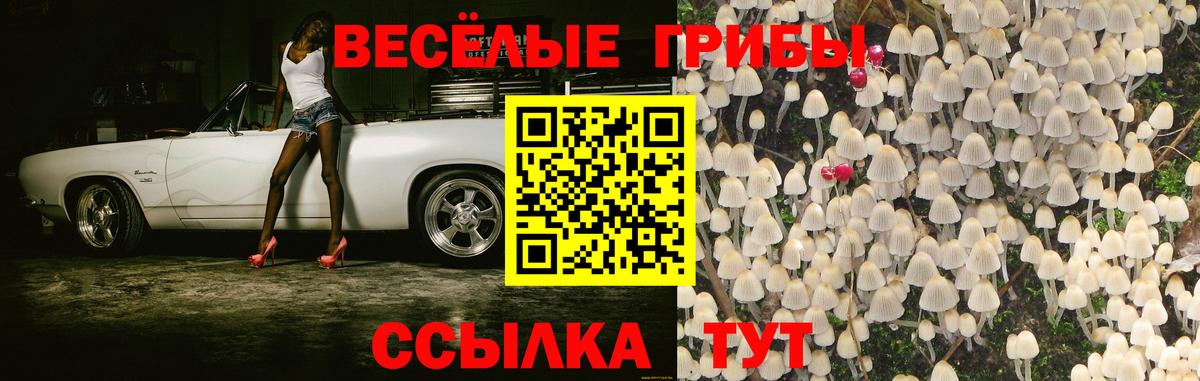 Кохма  Галлюциногенные грибы MAGIC MUSHROOMS  Галлюциногенные грибы GOLDEN TEACHER  Вход с VPN 